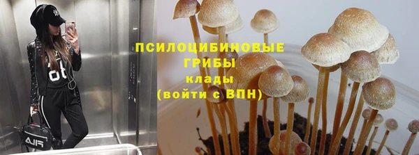 таблы Армянск