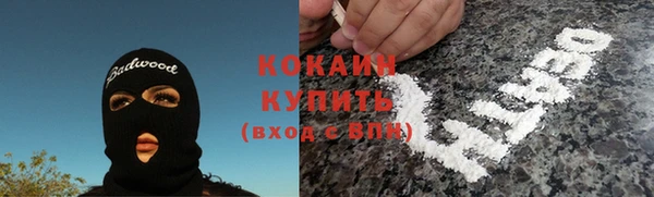 кокс Алексин