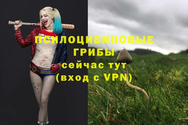 твердый Арсеньев