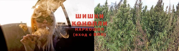 твердый Арсеньев