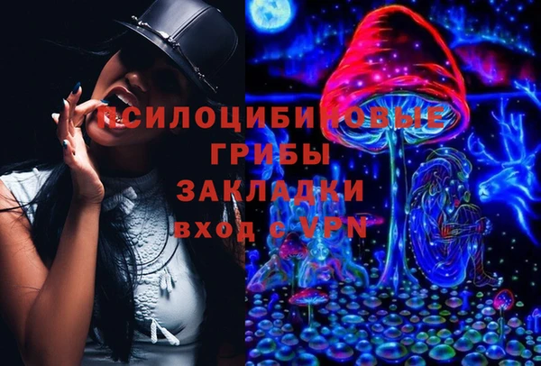 твердый Арсеньев