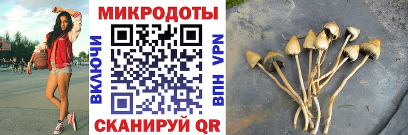 Галлюциногенные грибы мухоморы  закладка  blacksprut вход  Сибай 
